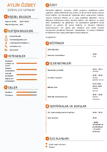 cv indir